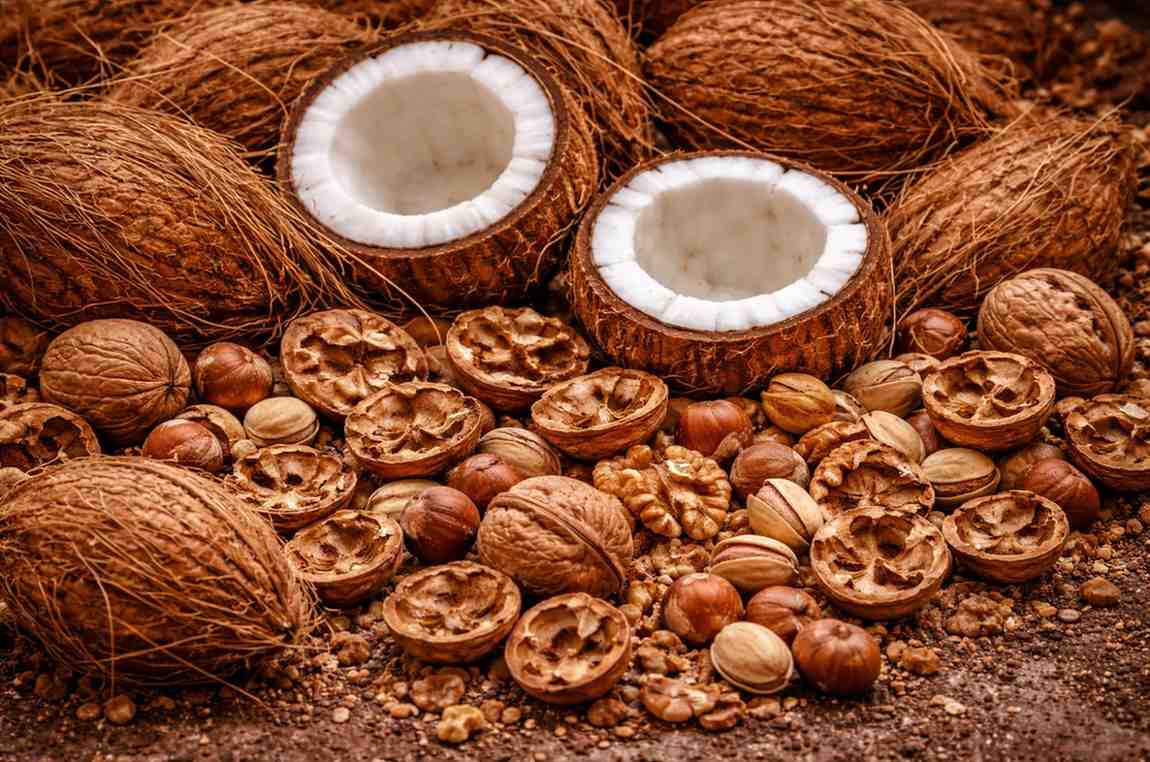 nut shells coconut husks