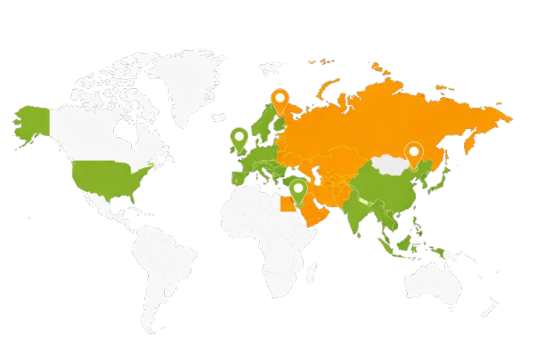 export market bamboo chips