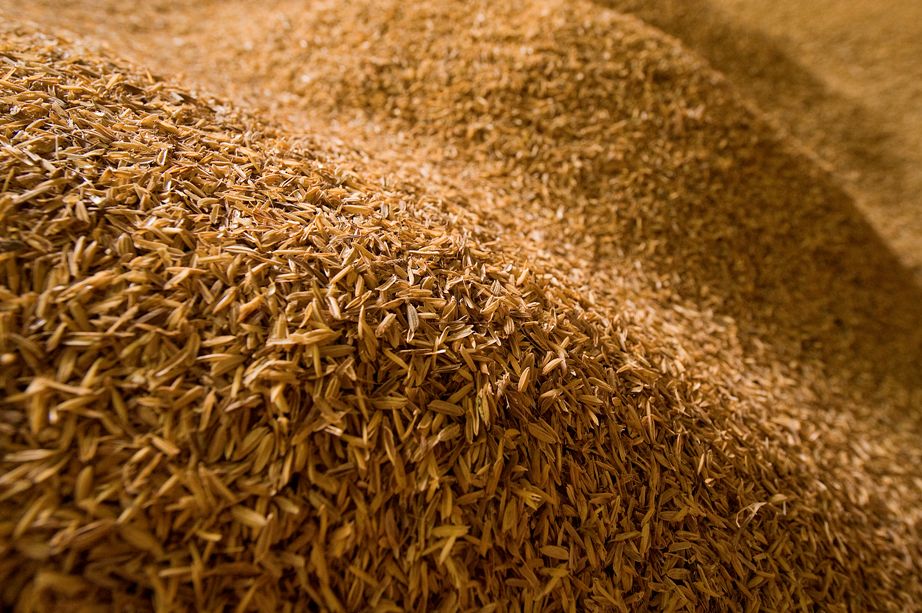 rice husks