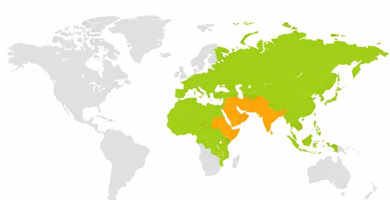 export market nut shells