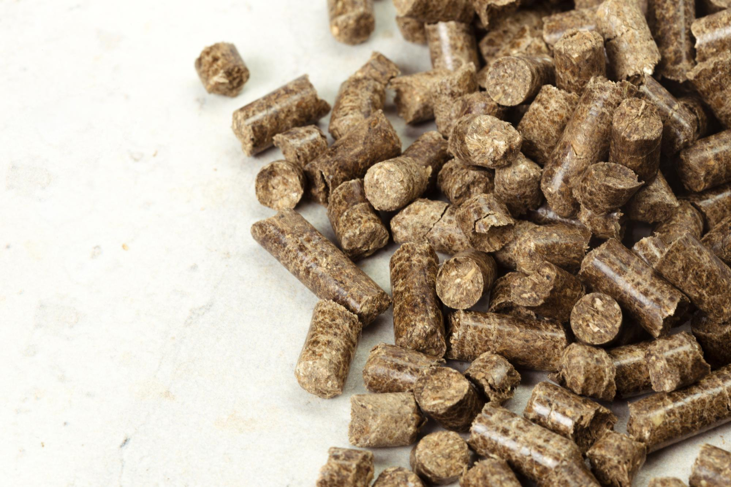 Biomass Briquettes Market 2026 Trends - Tropic World Paradise