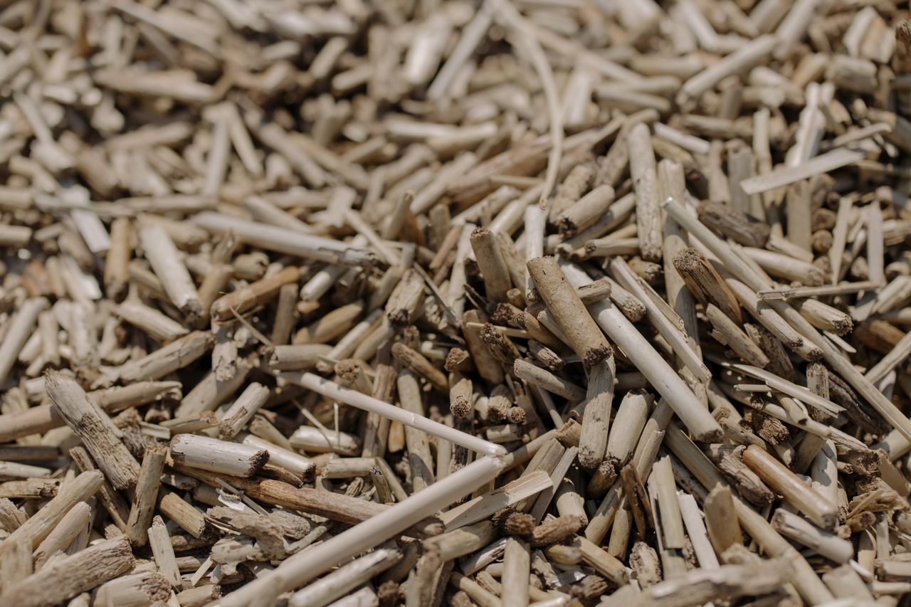 China buyer of Indonesia biomass products - Tropic World Paradise
