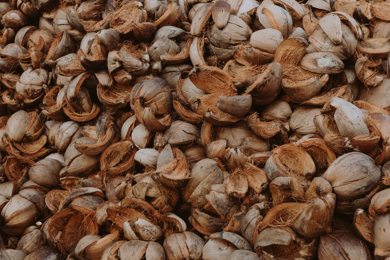Coconut husk supplier Indonesia guide - Tropic World Paradise