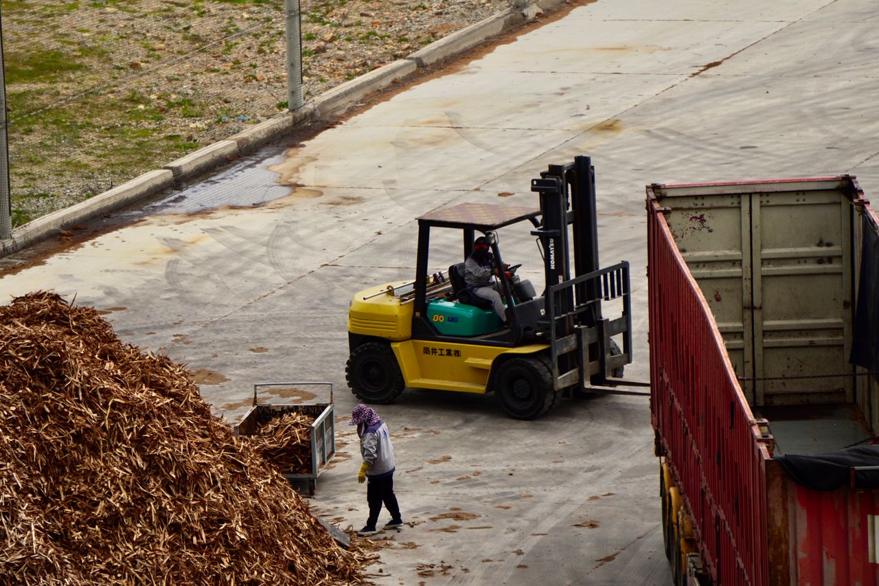Indonesia biomass supplier for South Korea - Tropic World Paradise