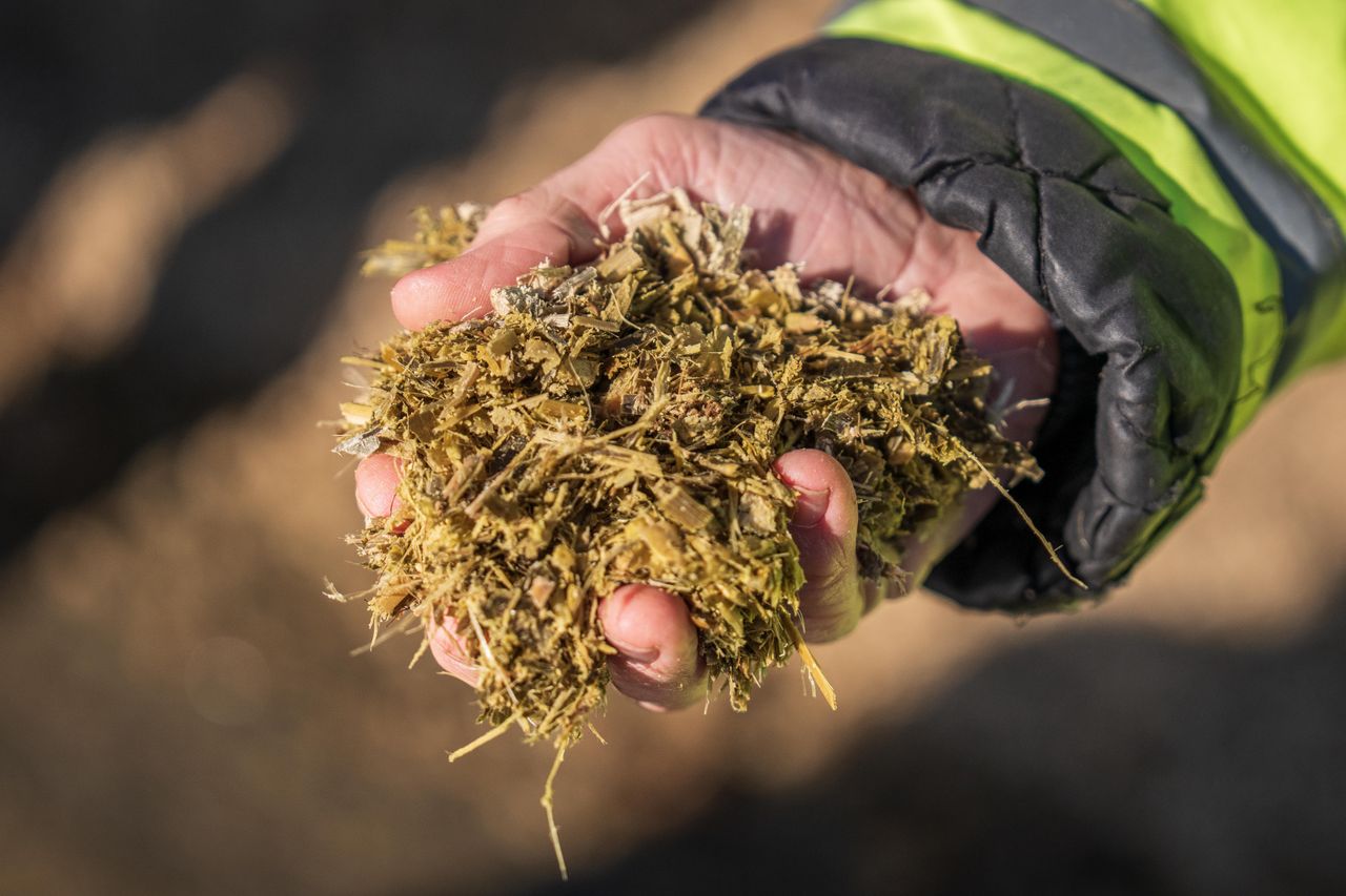 Global Biomass Market export solutions by Tropic World Paradise