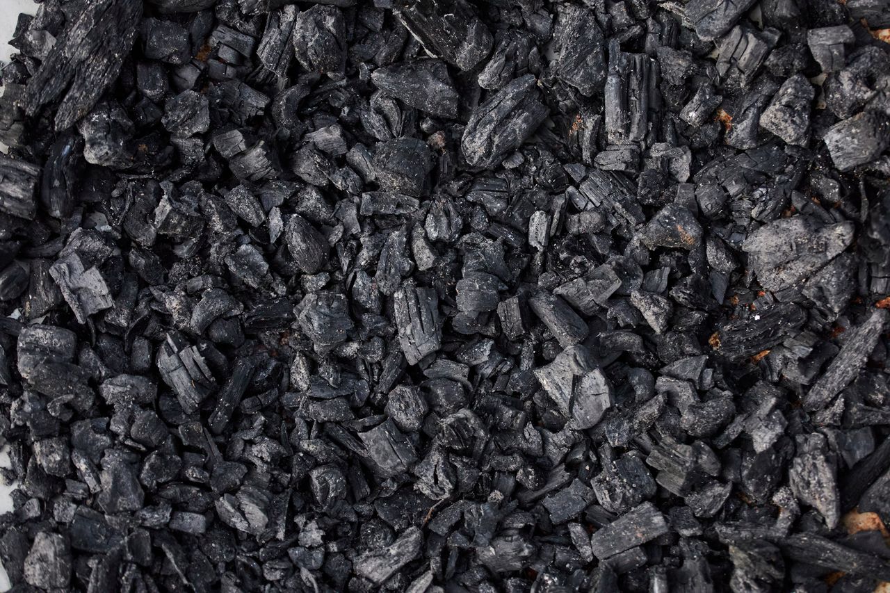 Carbon Powder vs Activated Carbon Guide - Tropic World Paradise