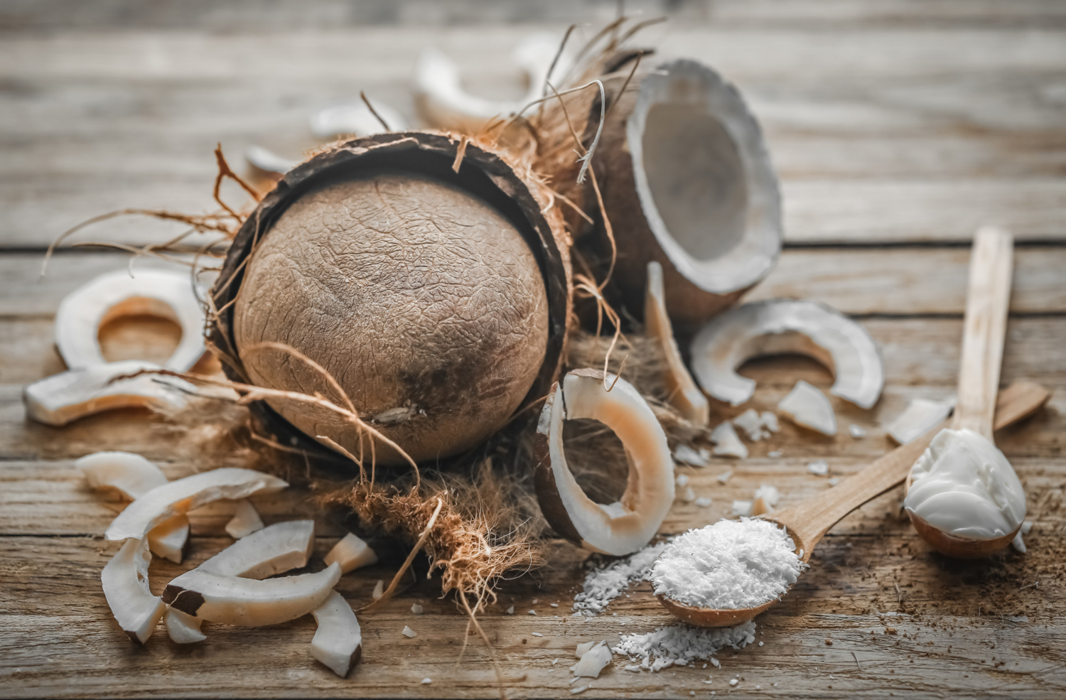 Coconut Shell Charcoal vs Wood Charcoal - Tropic World Paradise