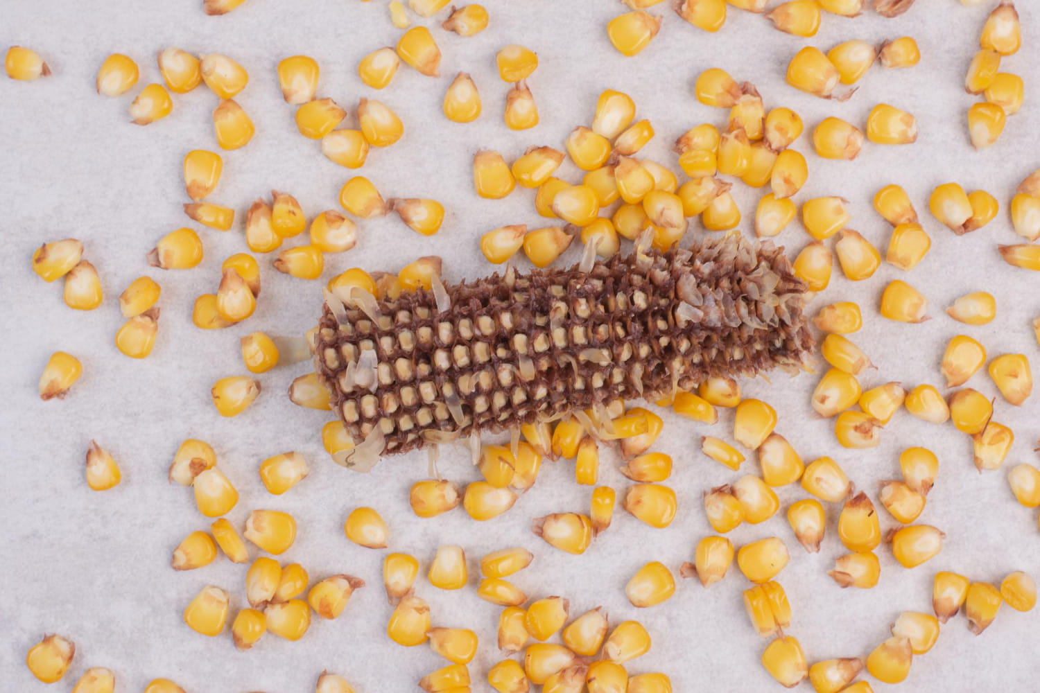 Corn Cob Grit vs Corn Cob Fuel Grades - Tropic World Paradise