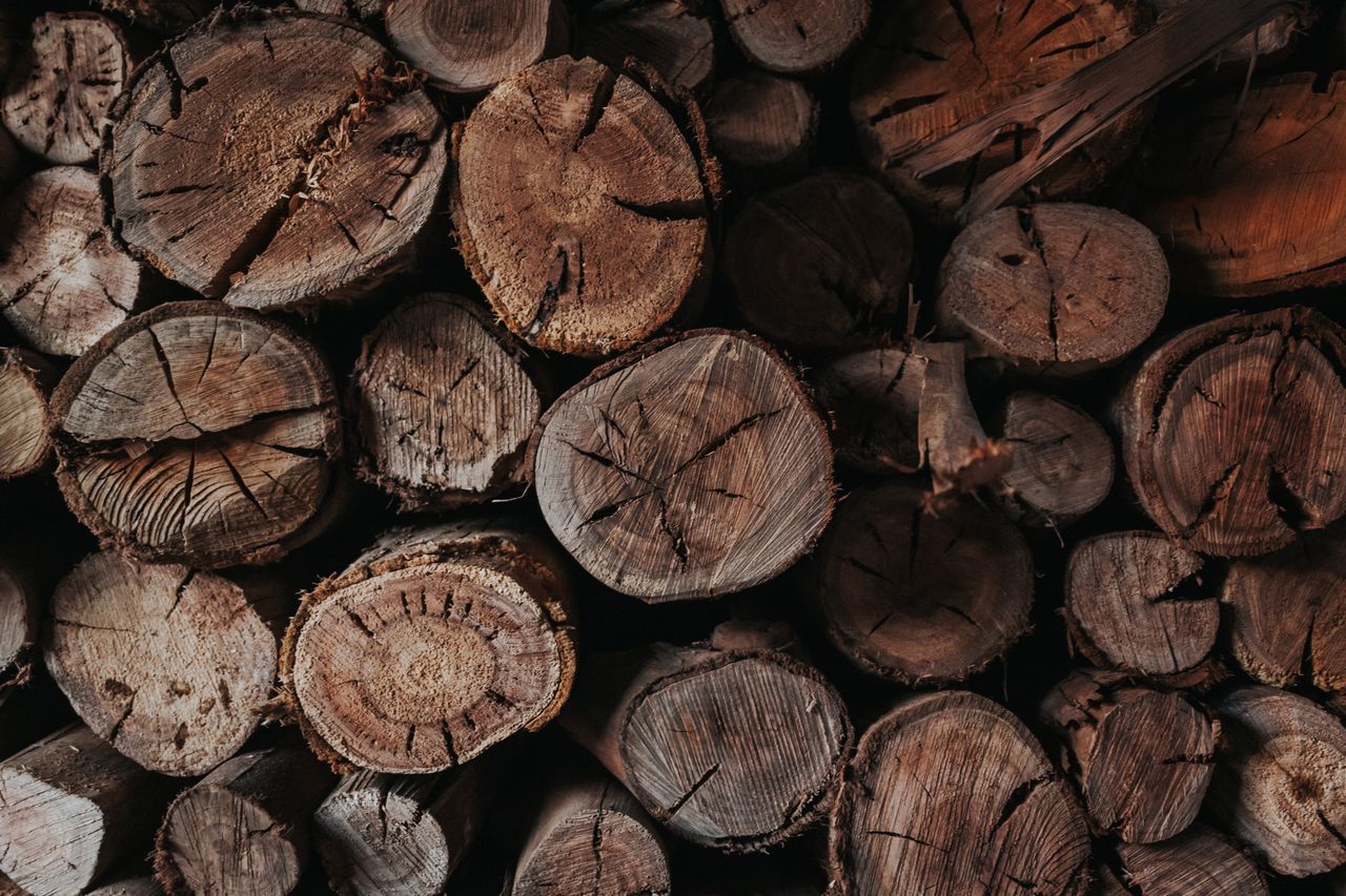 Wood Logs biomass fuel export by Tropic World Paradise