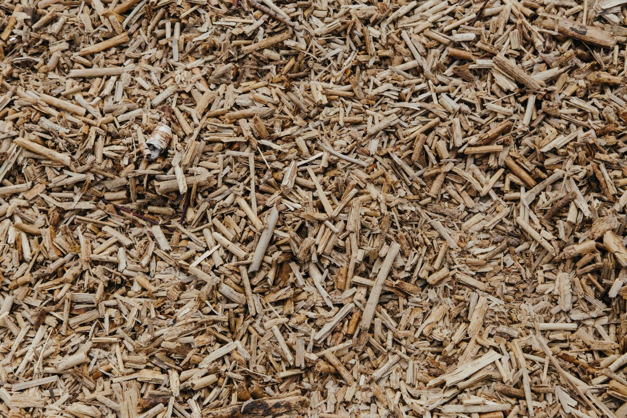 Wood Pellets biomass fuel export by Tropic World Paradise