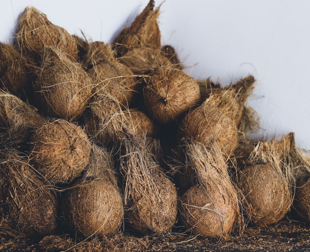 Palm Husk vs Palm Kernel Shell Specifications - Tropic World Paradise