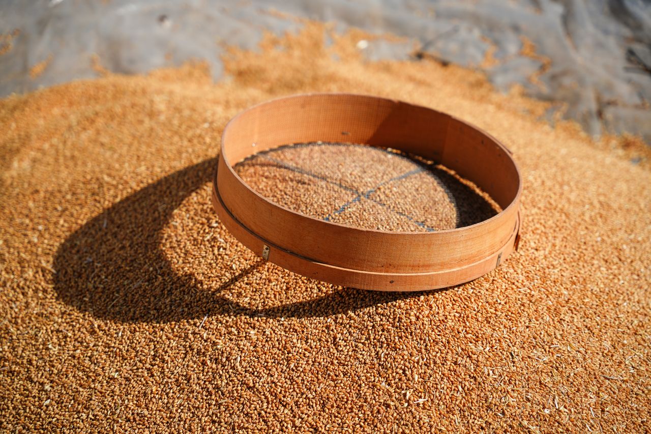 Palm Kernel Shells PKS biomass export by Tropic World Paradise