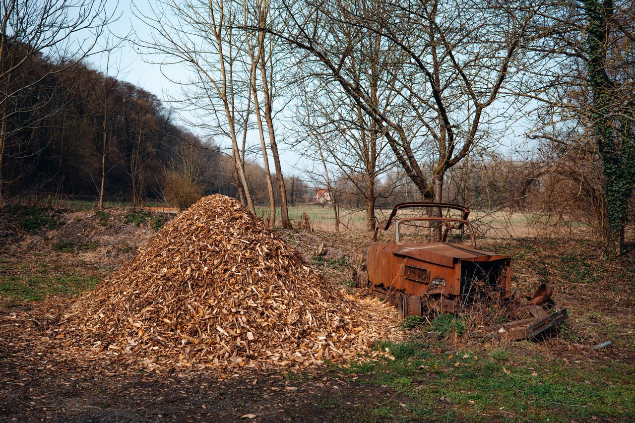 Wood Chip Supplier Indonesia Grades & Export Market - Tropic World Paradise