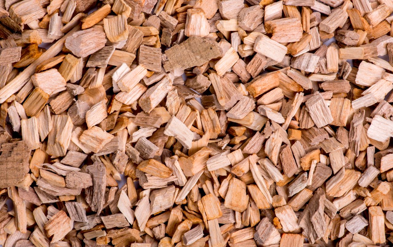 Wood Chips biomass export by Tropic World Paradise
