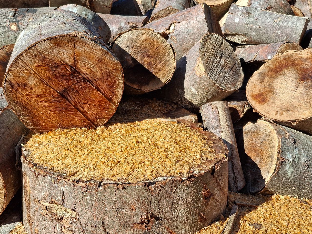 Wood Chips vs Wood Pellets for Boilers - Tropic World Paradise